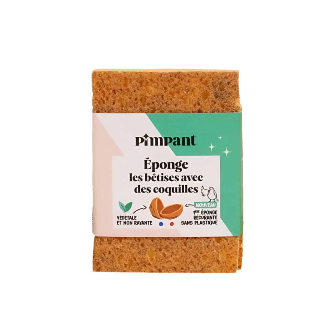 Set da 2 Spugne Abrasive Antigraffio -Pimpant-