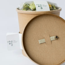 Carica l&#39;immagine nel visualizzatore di Gallery, “Drink it, Plant it!” Té Piantabile URBAN -Rhoeco-